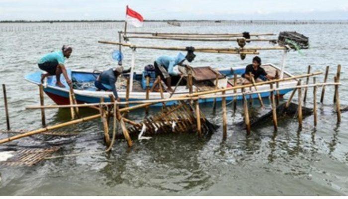 Sekjen MUI Apresiasi Presiden RI Atas Perintah Pembongkaran Pagar Laut
