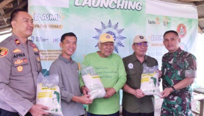 Inovasi Jamaah Tani Muhammadiyah (JATAM), Luncurkan Beras Sehat Organik : BLASMU