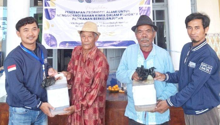 Mahasiswa KKN Universitas Muhammadiyah Gresik (UMG) Bantu Petani Terapkan Probiotik Alami Budidaya Perikanan