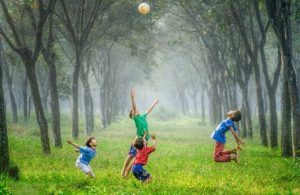 Muhammadiyah Luncurkan Lima Program untuk Lingkungan