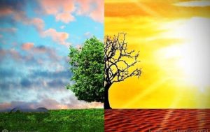 Muhammadiyah Ajak Umat Muslim Mulai Transisi Energi untuk Perbaiki Bumi