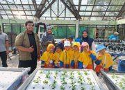 Murid Kelas I SD Muhammadiyah PK Solo Belajar Teknik Hidroponik