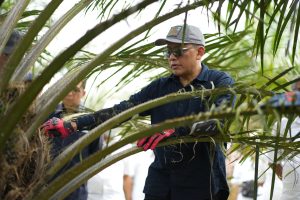 Kejar ROA 10 Persen, PalmCo Genjot Efisiensi dan Inovasi Bisnis