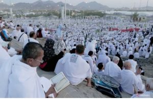 Pesan Sekjen MUI kepada Jamaah Jelang Puncak Haji (Armuzna)