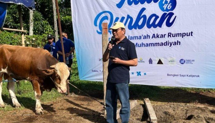 Majelis Pemberdayaan Masyarakat PP Muhammadiyah Gelar Kurban untuk Gembirakan Akar Rumput