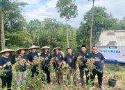 Muhammadiyah Berdayakan Suku Baduy Lewat Dakwah Khusus Bidang Pertanian