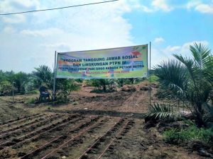 Ribuan Hektare Lahan Petani di Sumatera Utara Dapat Bantuan 22 Ton Lebih Benih Padi Gogo dari PTPN IV Palmco