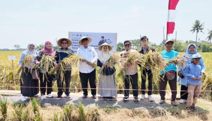 Panen Raya Wakaf Produktif, Menag : Beri Manfaat Nyata bagi Masyarakat