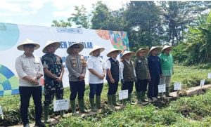 Panen Ubi Jalar di Kuningan, Abdul Mu’ti Tegaskan Pentingnya Regenerasi Petani