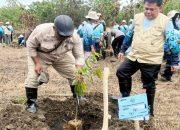 Majelis Lingkungan Hidup Muhammadiyah dan BPKH Luncurkan Wakaf Pohon Produktif di Gunungkidul
