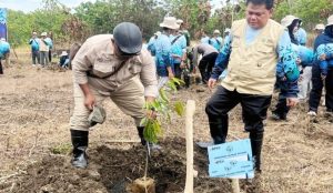 Majelis Lingkungan Hidup Muhammadiyah dan BPKH Luncurkan Wakaf Pohon Produktif di Gunungkidul