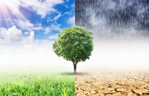 Ketika Budaya Moyang Kita Memahami Perubahan Iklim