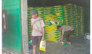 Perum Bulog Distribusikan Komoditi Pangan di Lokasi Acara Milad Muhammadiyah Sidrap 