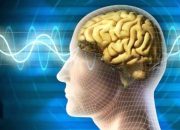 Frekuensi Al-Qur’an dan Resonansi Otak: Hikmah Tadarus di Bulan Ramadhan