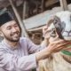 Qurban Checklist: Panduan Memilih Hewan Anti-Gagal Menurut Fiqih