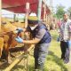 Eco-Friendly Qurban: Menjaga Kebersihan Lingkungan Saat Eksekusi Syariat
