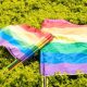 Catat dan Ingat Baik-baik, Daftar 37 Organisasi yang Menolak Desakan Agar Pelaku dan Pengkampanye LGBT Dipidana